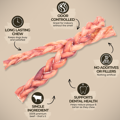 12 Inch Standard Braided Bully Stick