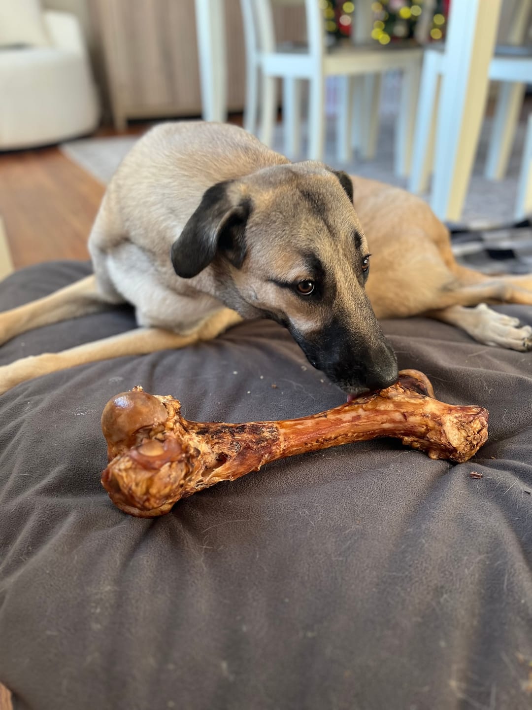 Monster Femur Bone