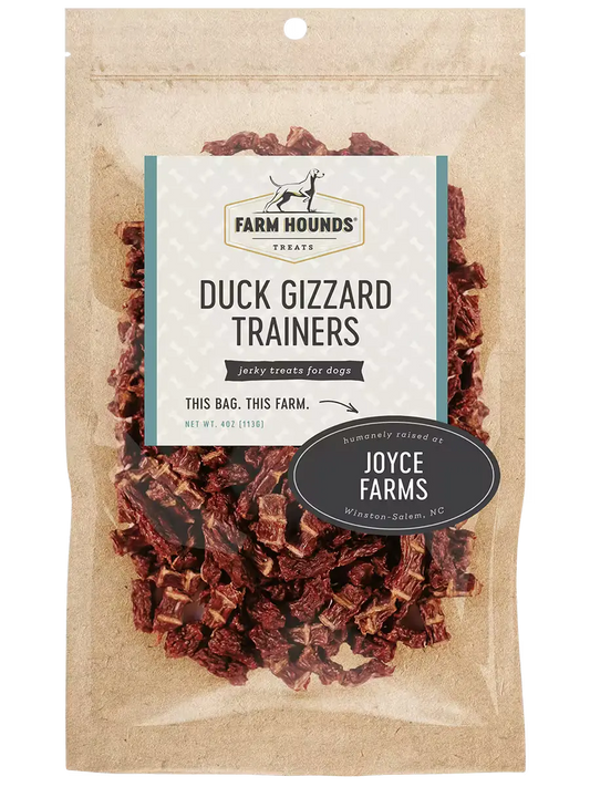 Duck Gizzard Trainers