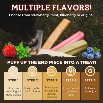 Himalayan Yak Chew Flavor Pack